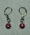 Raspberry Sparkle Leverback Earrings